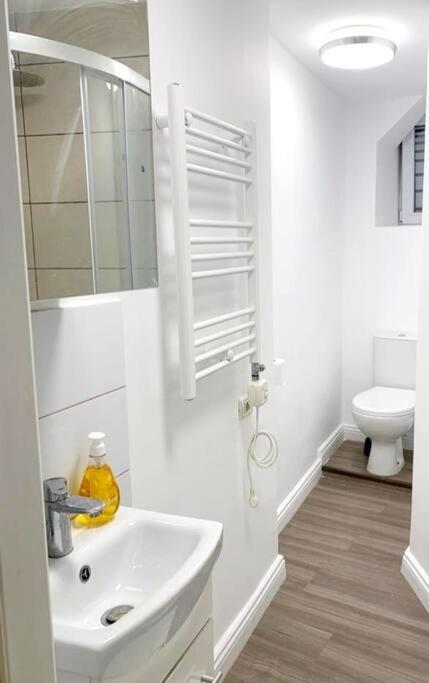 Central Studio Flat Бухарест Екстер'єр фото
