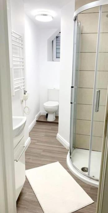 Central Studio Flat Бухарест Екстер'єр фото